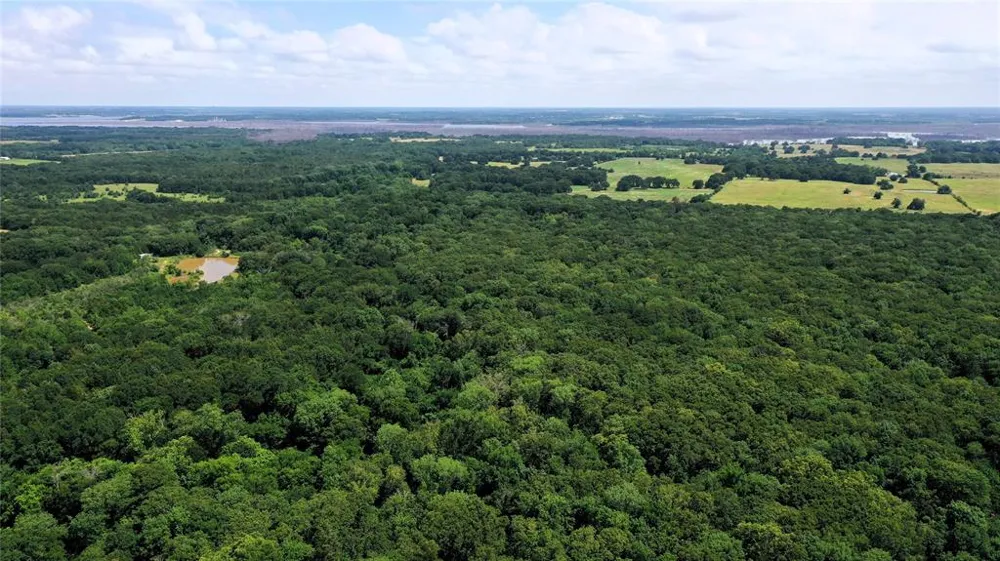 County Road 2620 Ivanhoe, TX 75447