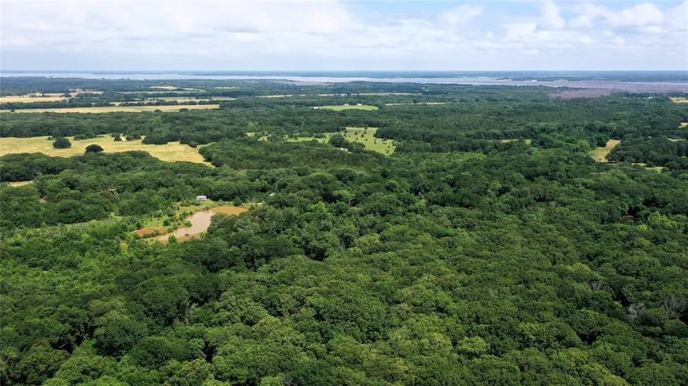County Road 2620 Ivanhoe, TX 75447