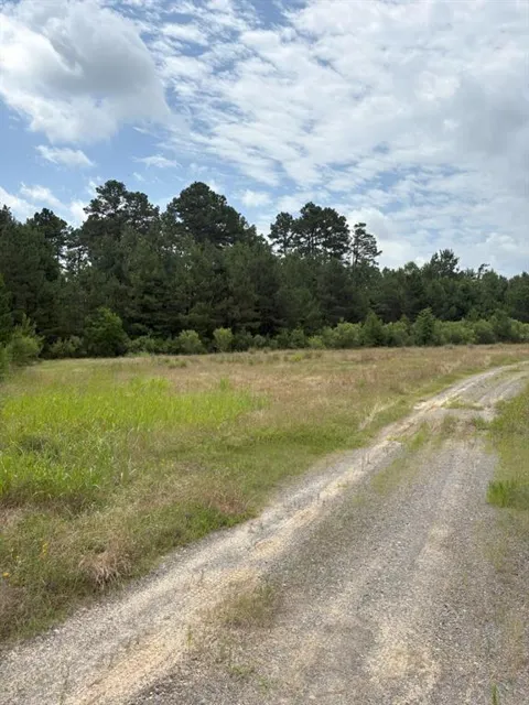 County Road 425