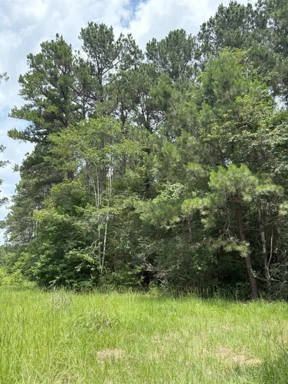 County Road 425 Tenaha, TX 75974