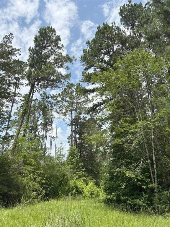 County Road 425 Tenaha, TX 75974