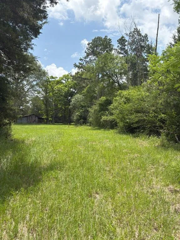 County Road 425 Tenaha, TX 75974