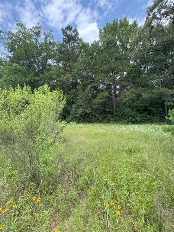 County Road 425 Tenaha, TX 75974