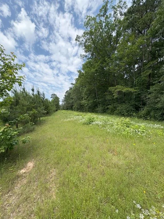 County Road 425 Tenaha, TX 75974
