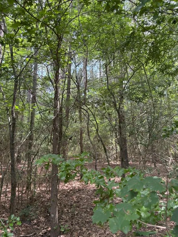 County Road 425 Tenaha, TX 75974