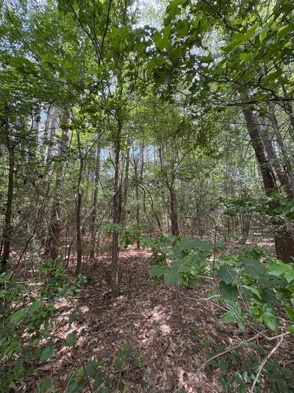 County Road 425 Tenaha, TX 75974