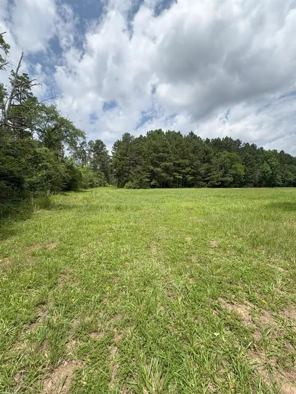 County Road 425 Tenaha, TX 75974