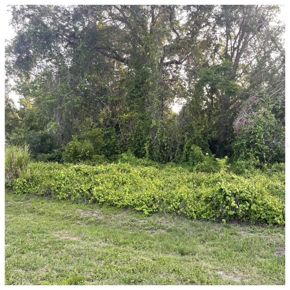 2701 KINGFISHER VILLAGE Deland, FL 32720