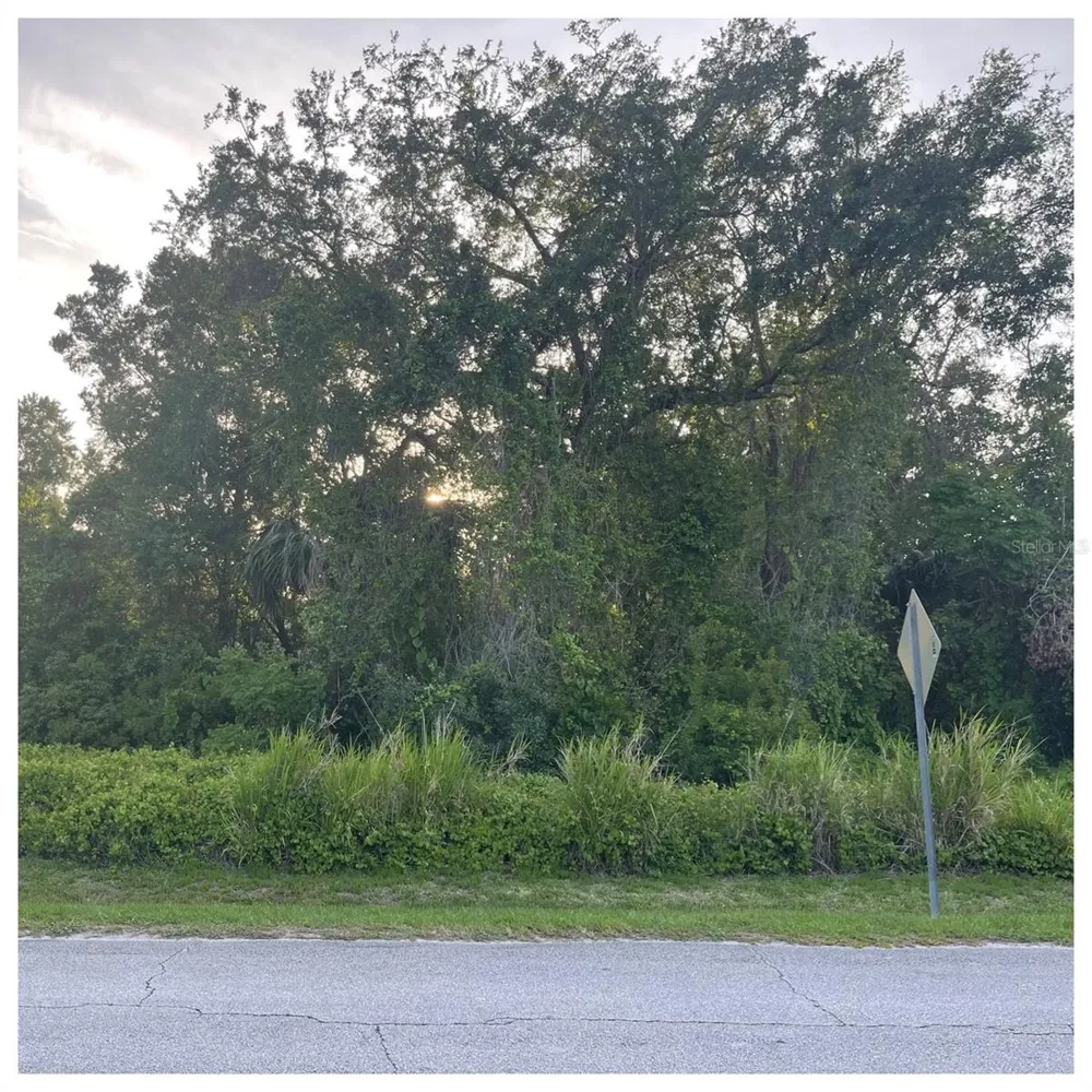 2701 KINGFISHER VILLAGE Deland, FL 32720