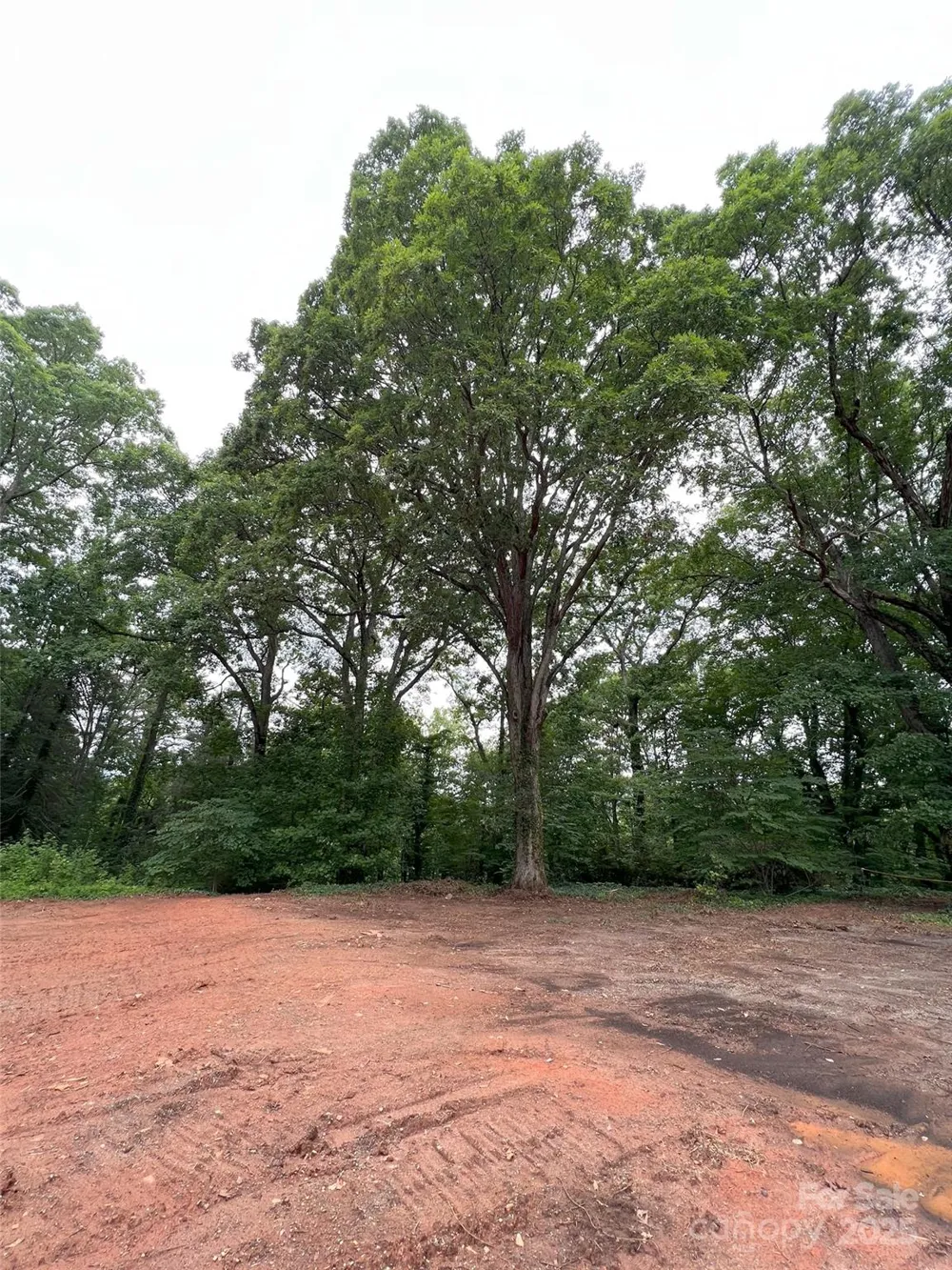 91 Ford Ridge Lane Columbus, NC 28722