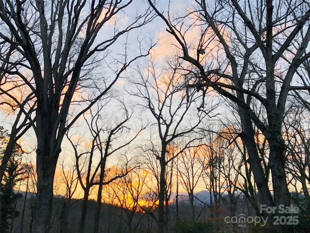 91 Ford Ridge Lane Columbus, NC 28722