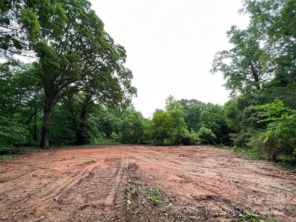 91 Ford Ridge Lane Columbus, NC 28722