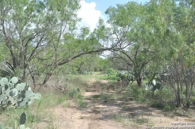 TBD CR 662 Devine, TX 78016
