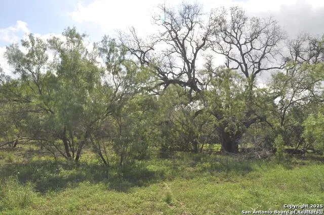 TBD CR 662 Devine, TX 78016