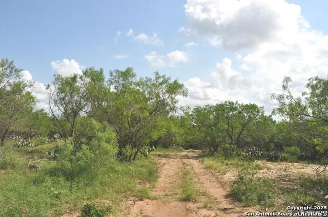 TBD CR 662 Devine, TX 78016