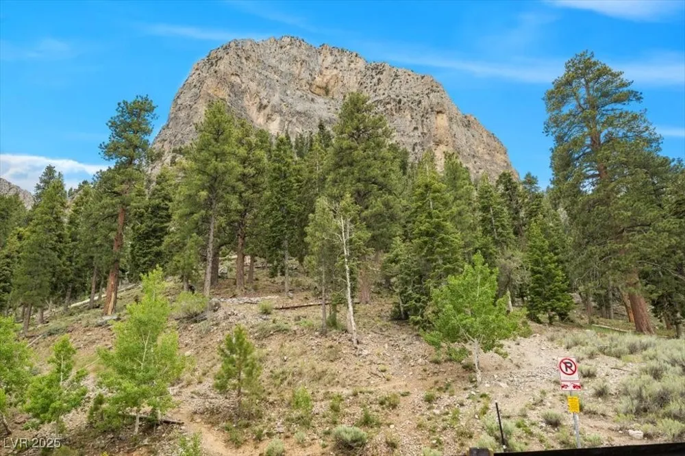 4830 Silver Tip Way Mount Charleston, NV 89124