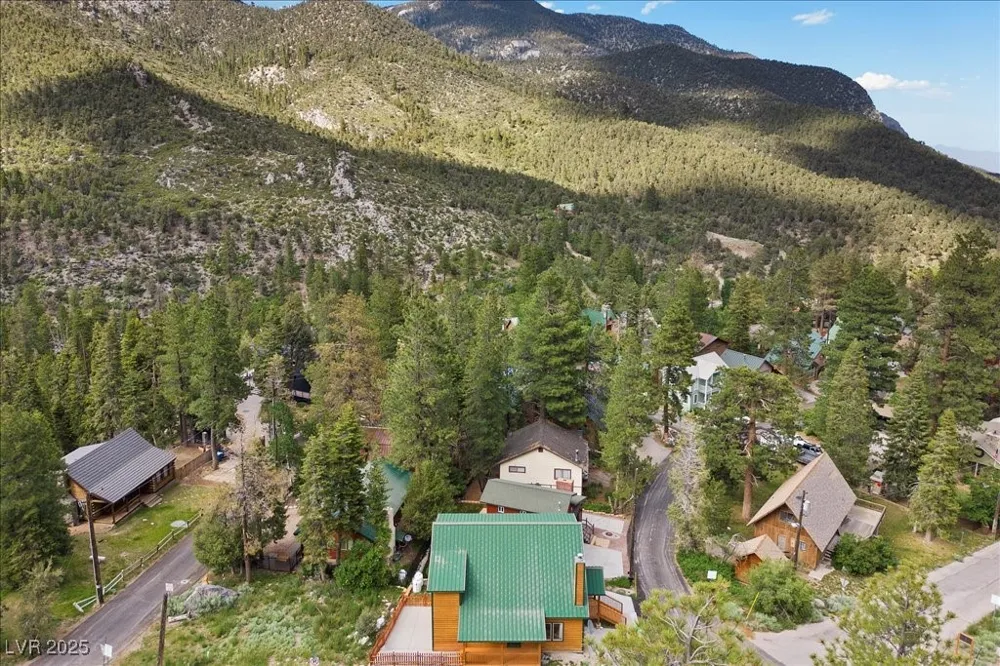 4830 Silver Tip Way Mount Charleston, NV 89124