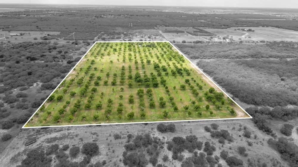 2432 County Road 402 Falfurrias, TX 78355