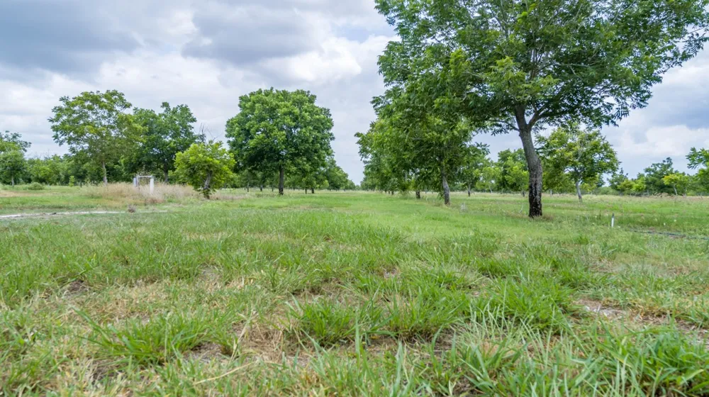 2432 County Road 402 Falfurrias, TX 78355