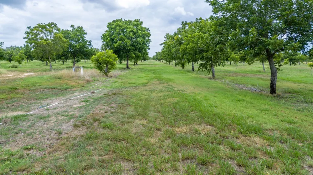 2432 County Road 402 Falfurrias, TX 78355