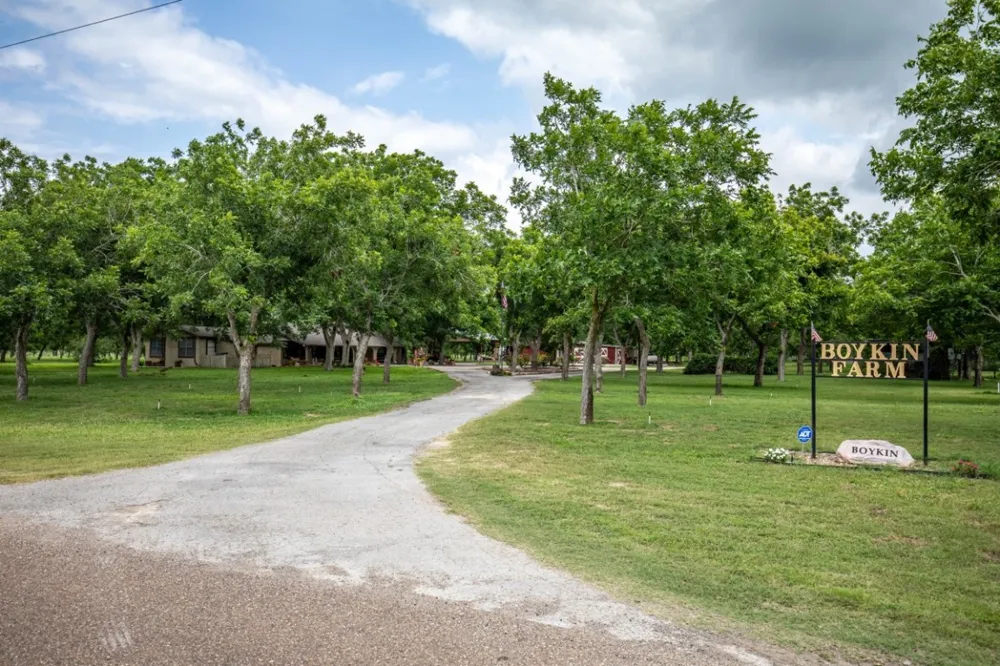 2432 County Road 402 Falfurrias, TX 78355