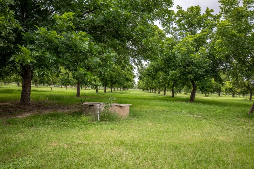2432 County Road 402 Falfurrias, TX 78355
