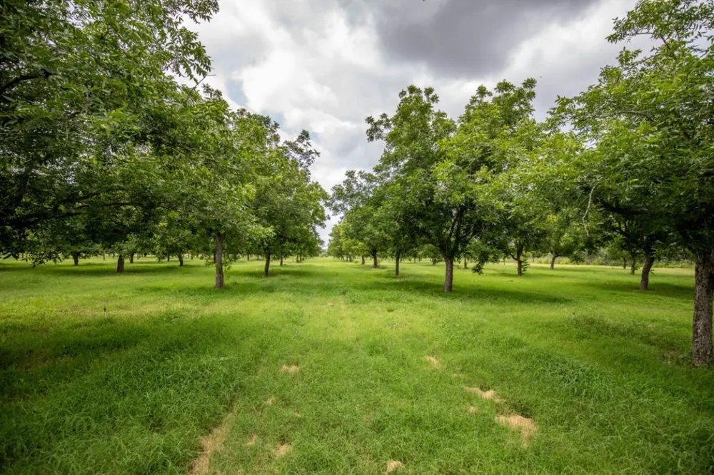 2432 County Road 402 Falfurrias, TX 78355