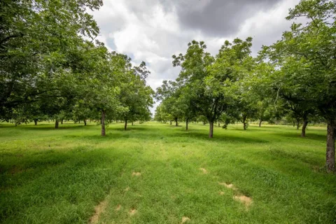 2432 County Road 402