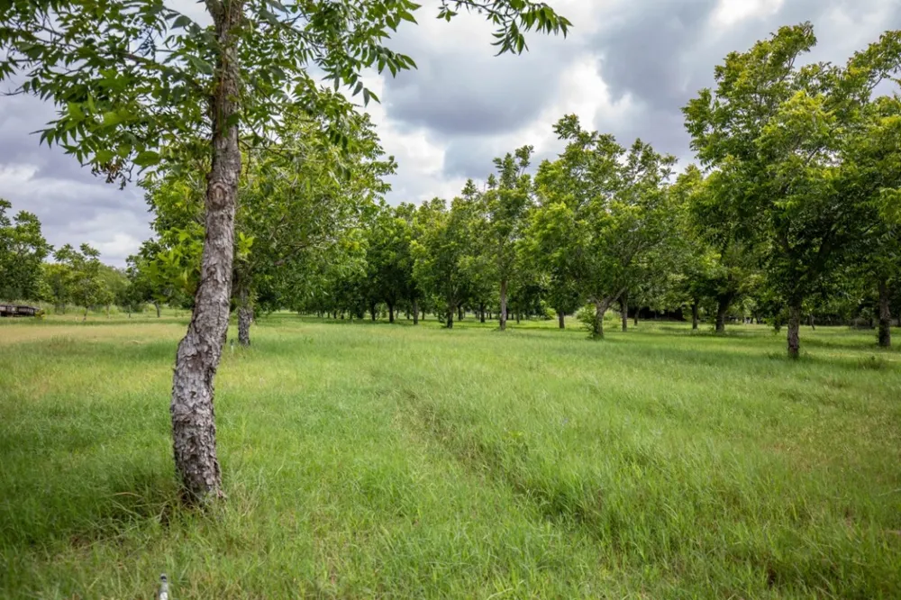 2432 County Road 402 Falfurrias, TX 78355