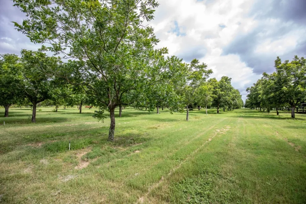 2432 County Road 402 Falfurrias, TX 78355