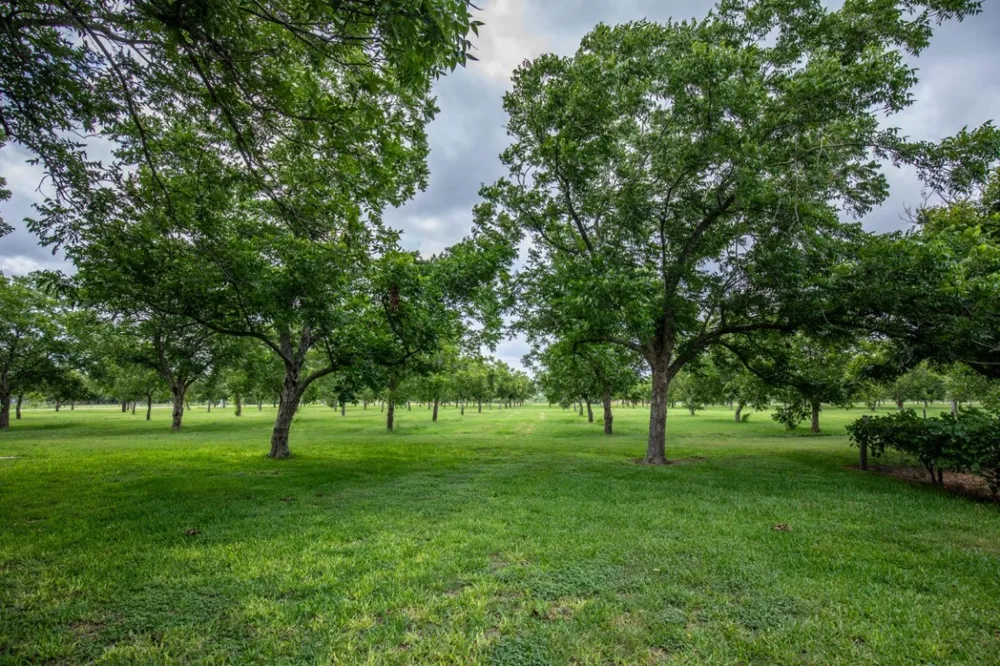 2432 County Road 402 Falfurrias, TX 78355