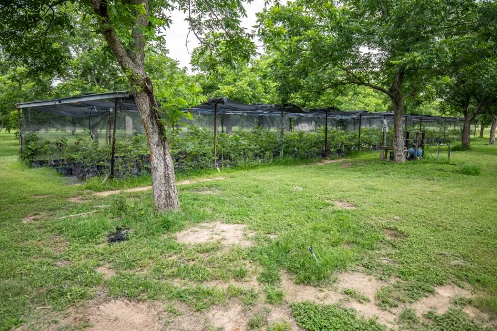 2432 County Road 402 Falfurrias, TX 78355