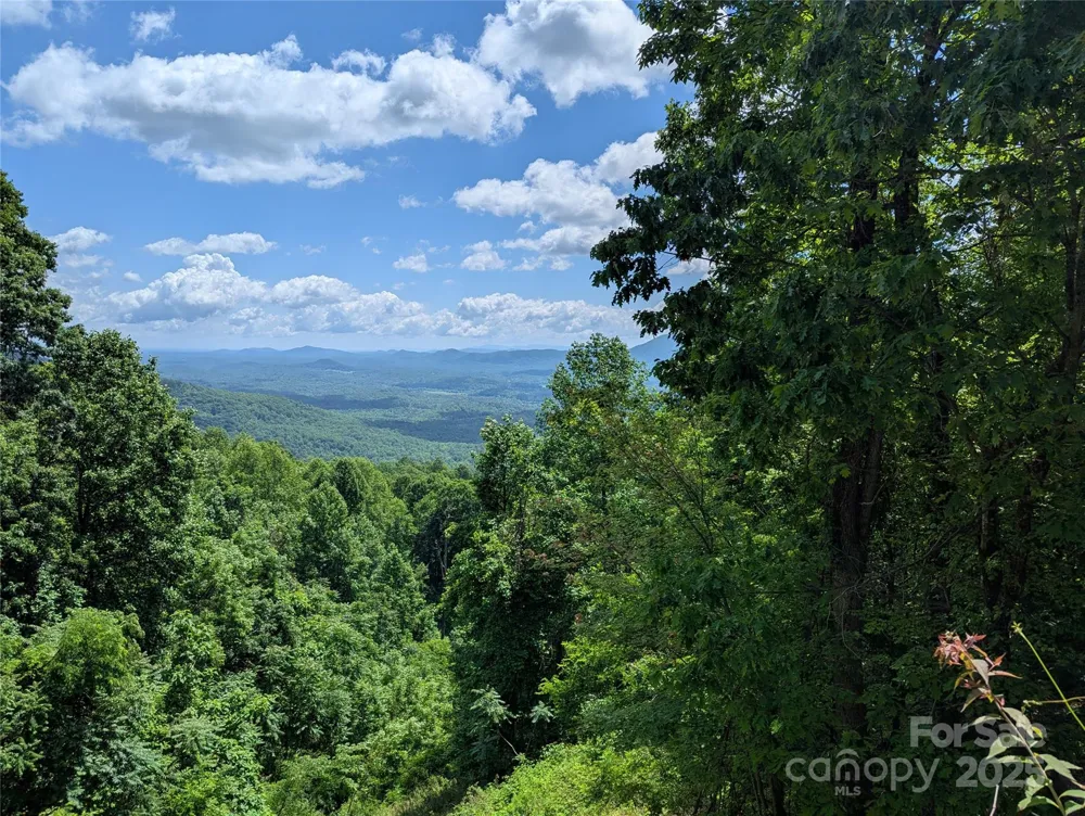 67 Creston Drive #T-17 Black Mountain, NC 28711