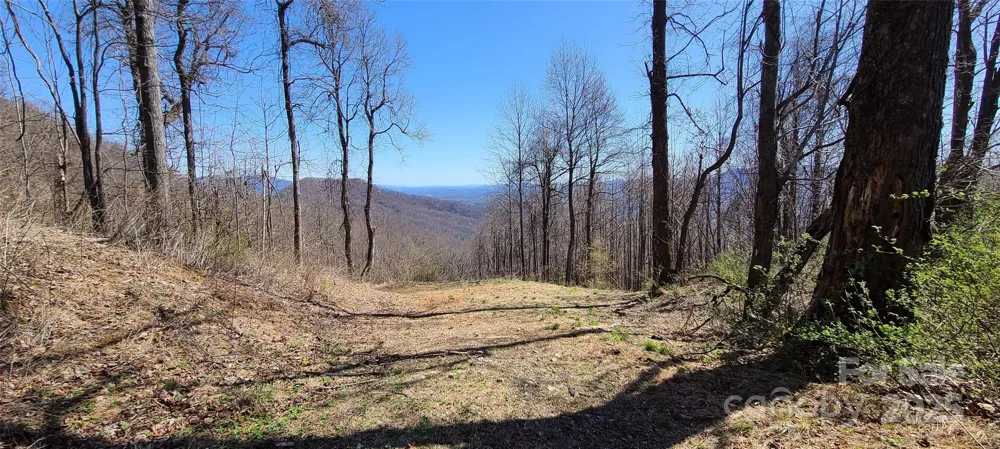 67 Creston Drive #T-17 Black Mountain, NC 28711