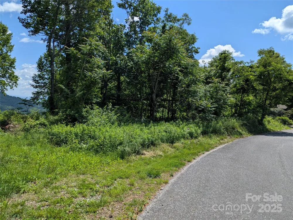 67 Creston Drive #T-17 Black Mountain, NC 28711