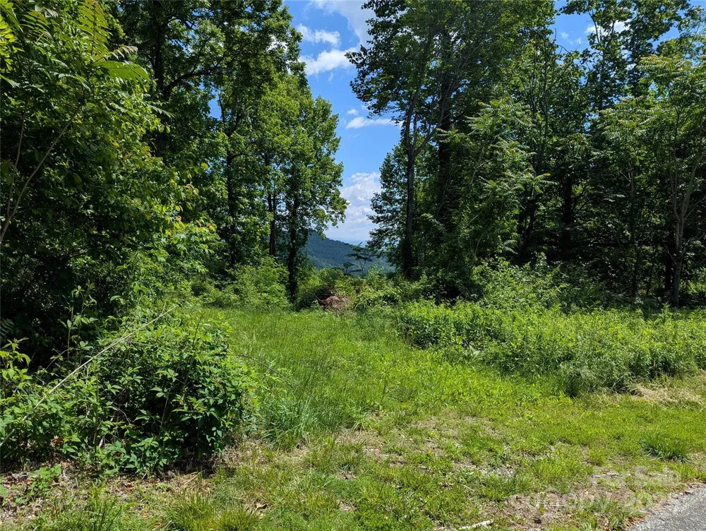 67 Creston Drive #T-17 Black Mountain, NC 28711