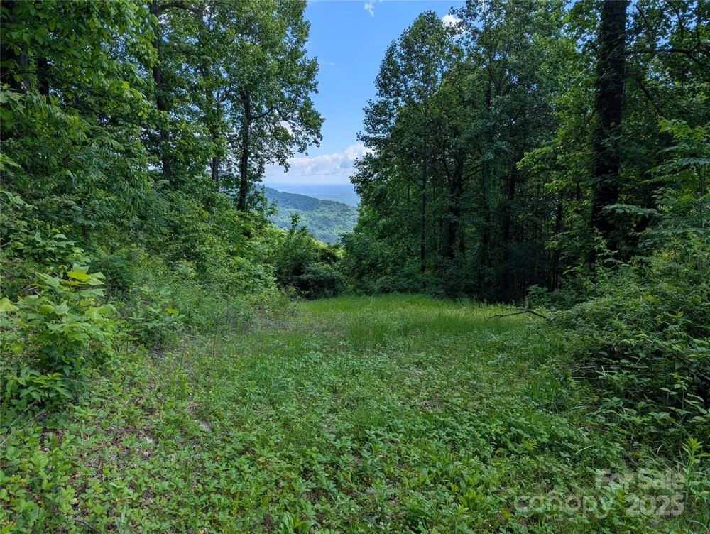 67 Creston Drive #T-17 Black Mountain, NC 28711