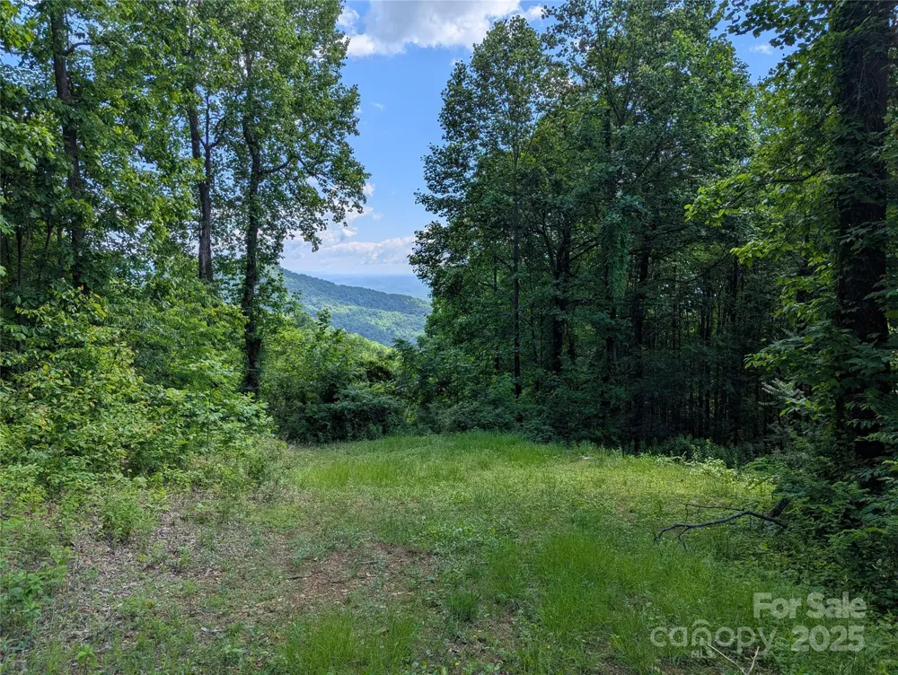 67 Creston Drive #T-17 Black Mountain, NC 28711