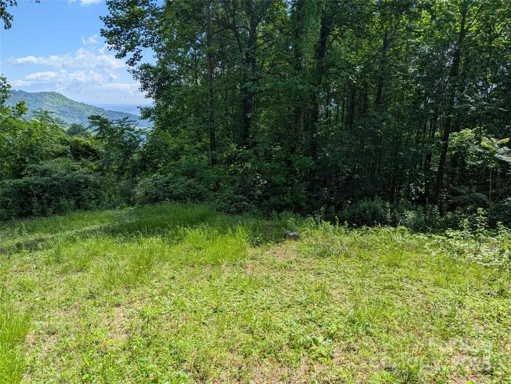 67 Creston Drive #T-17 Black Mountain, NC 28711