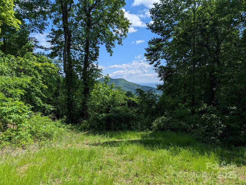 67 Creston Drive #T-17 Black Mountain, NC 28711