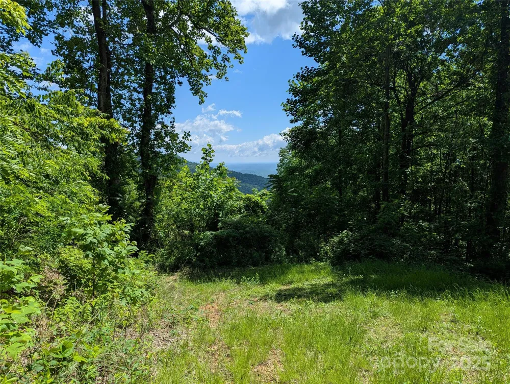 67 Creston Drive #T-17 Black Mountain, NC 28711