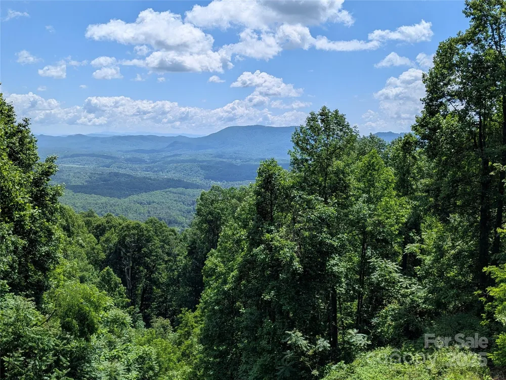 67 Creston Drive #T-17 Black Mountain, NC 28711