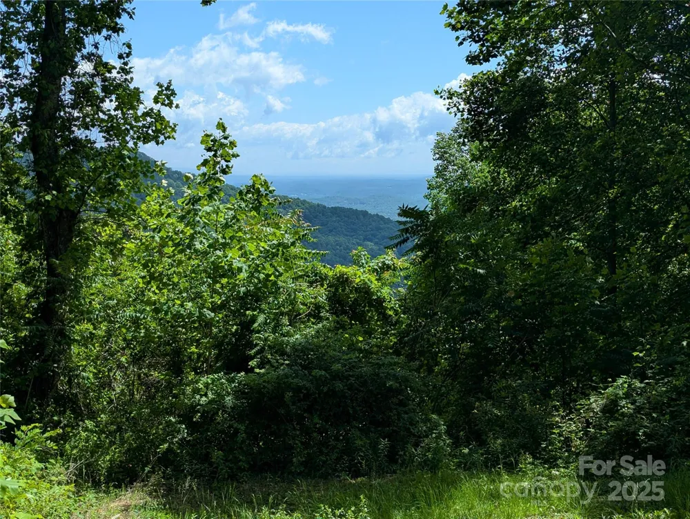 67 Creston Drive #T-17 Black Mountain, NC 28711