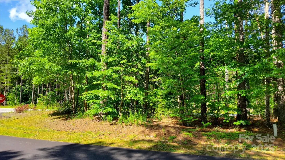 0000 Loblolly Lane #24/23/22 Mill Spring, NC 28756