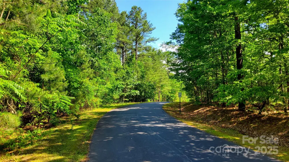 0000 Loblolly Lane #24/23/22 Mill Spring, NC 28756