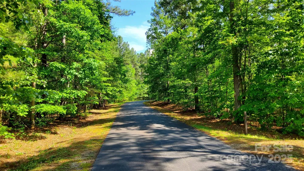 0000 Loblolly Lane #24/23/22 Mill Spring, NC 28756