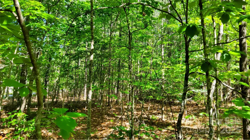 0000 Loblolly Lane #24/23/22 Mill Spring, NC 28756