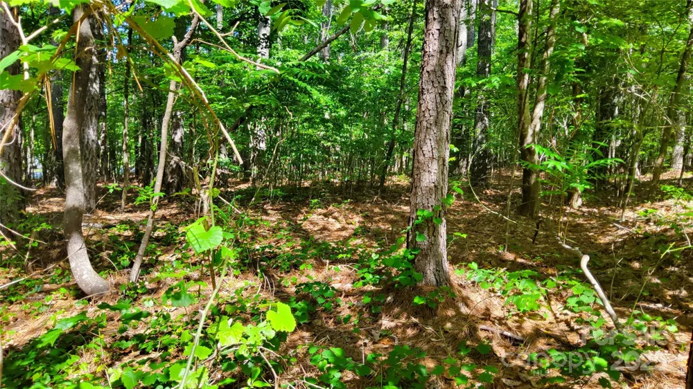 0000 Loblolly Lane #24/23/22 Mill Spring, NC 28756