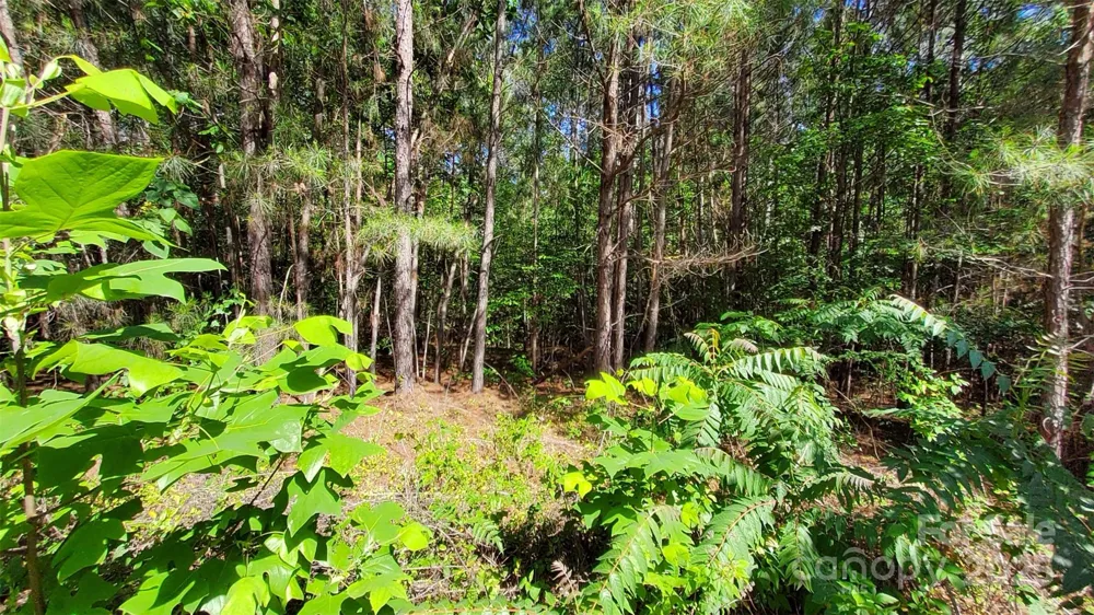 0000 Loblolly Lane #24/23/22 Mill Spring, NC 28756