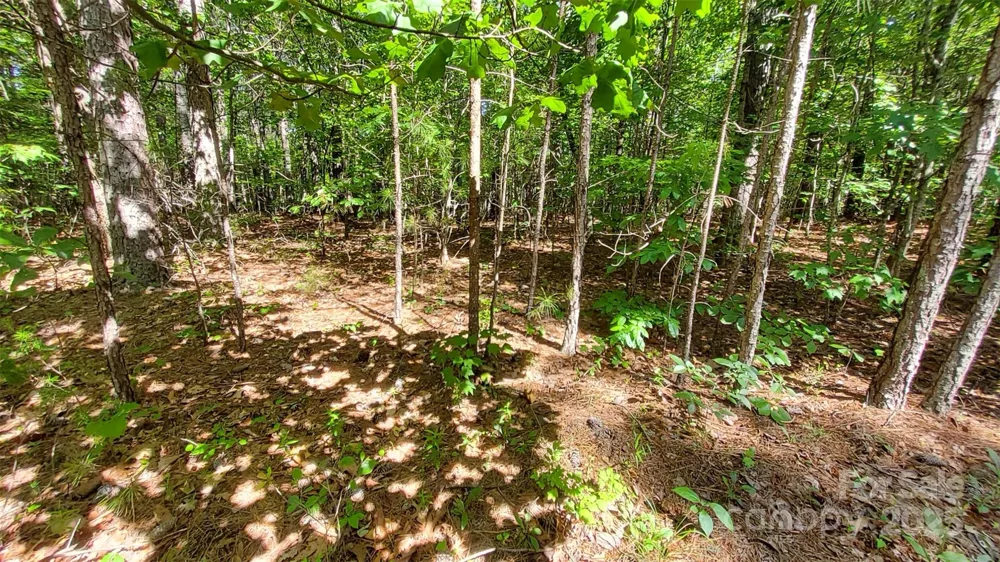 0000 Loblolly Lane #24/23/22 Mill Spring, NC 28756